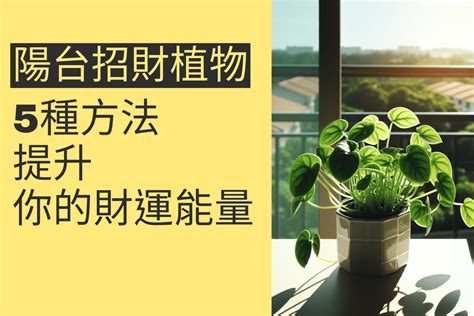 尖葉植物風水|前陽台招財植物大全！15 種適合陽台的植物助你財源。